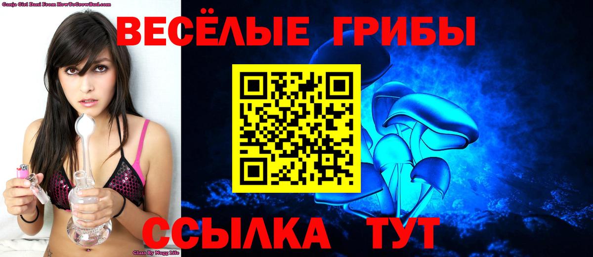 Галлюциногенные грибы GOLDEN TEACHER Калуга