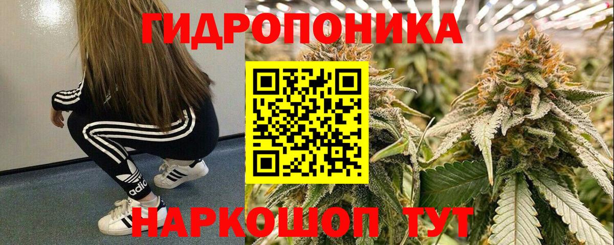 Бошки марихуана Bruce Banner  Каннабис THC 21%  Калуга  Каннабис семена  МАРИХУАНА план  Вход с VPN 